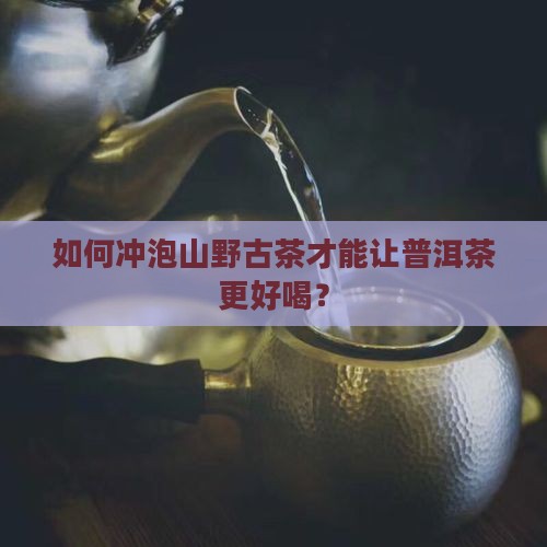 普洱茶山野古茶怎么泡好喝