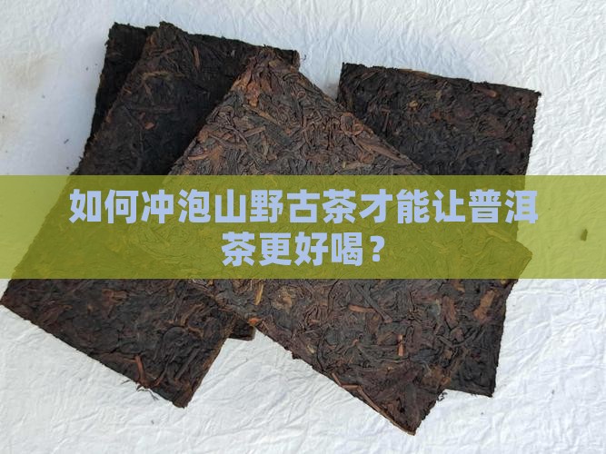 普洱茶山野古茶怎么泡好喝