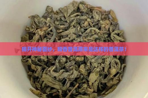 糯香普洱茶是普洱