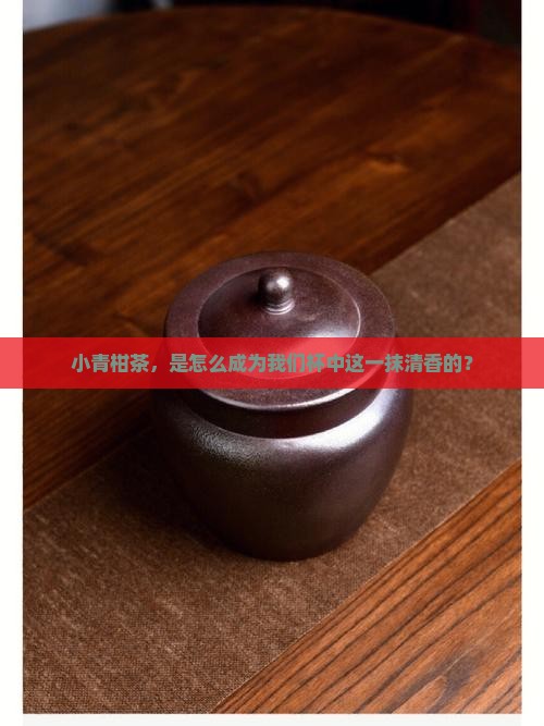 小青柑茶什么时候有的