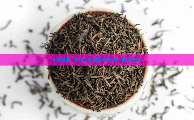 小青柑茶什么时候有的