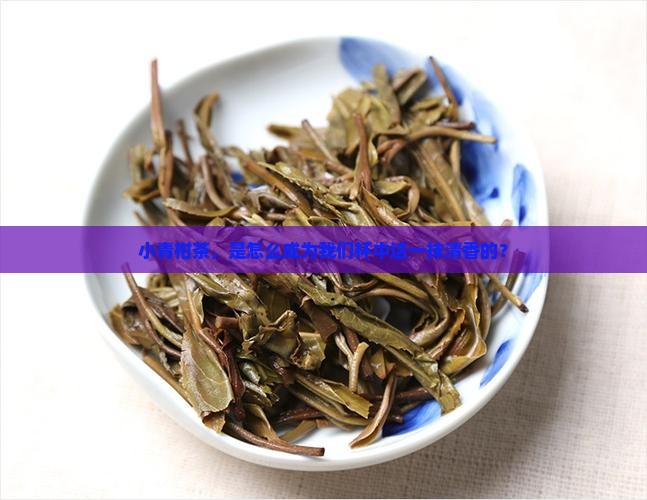 小青柑茶什么时候有的