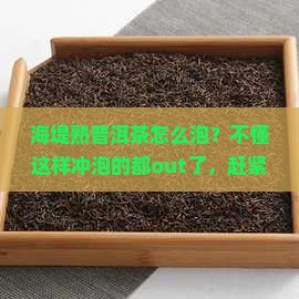 海堤熟普洱茶怎么泡
