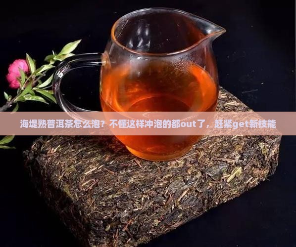 海堤熟普洱茶怎么泡