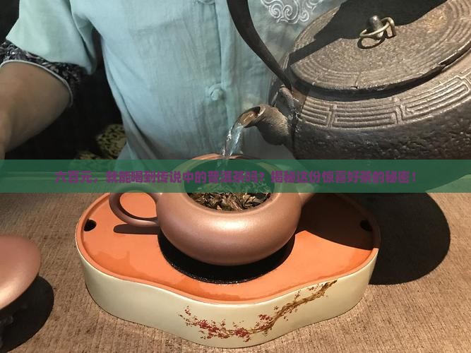 600元普洱茶