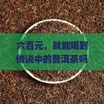 600元普洱茶