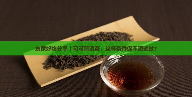 东家可可普洱茶推荐