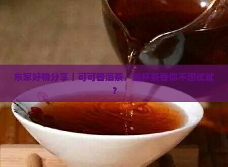 东家可可普洱茶推荐