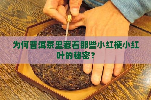 普洱茶出现红梗红叶的原因