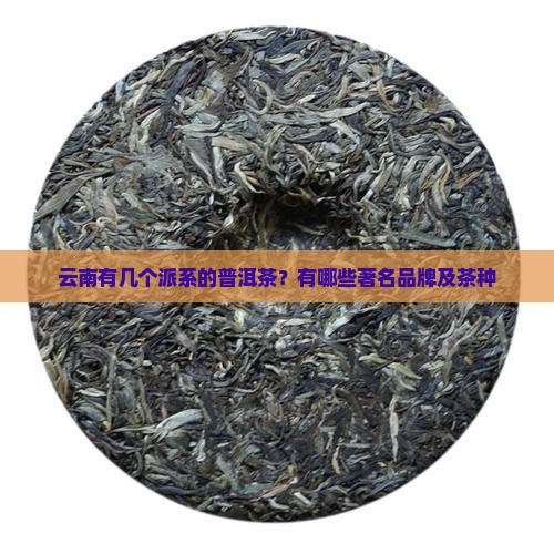云南有几个派系的普洱茶
