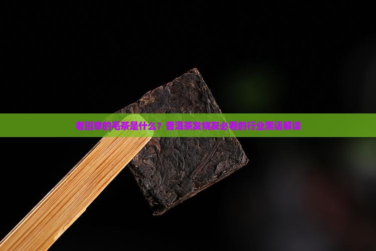 老班章的毛茶是什么