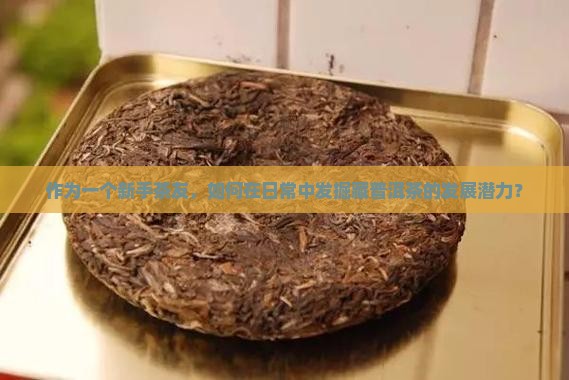 购买藏普洱茶的前景如何发展