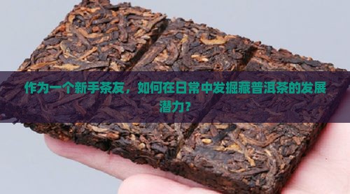 购买藏普洱茶的前景如何发展