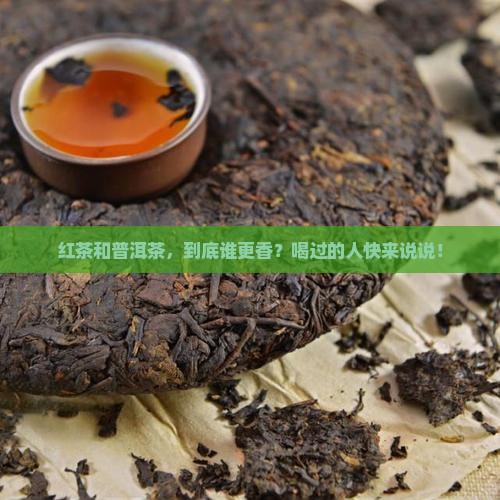 红茶和普洱茶哪个香