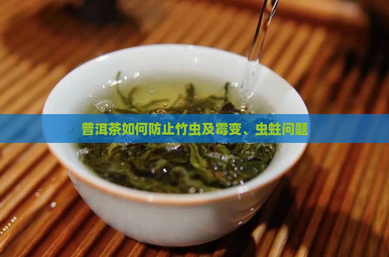 普洱茶如何防止竹虫