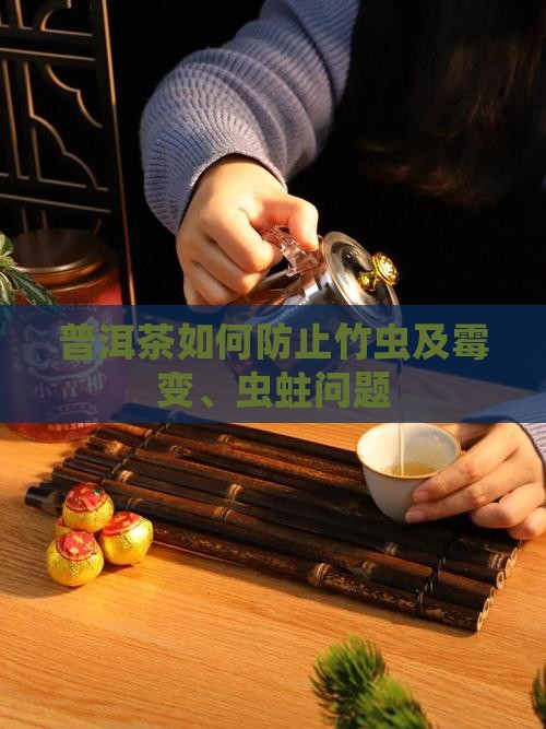 普洱茶如何防止竹虫