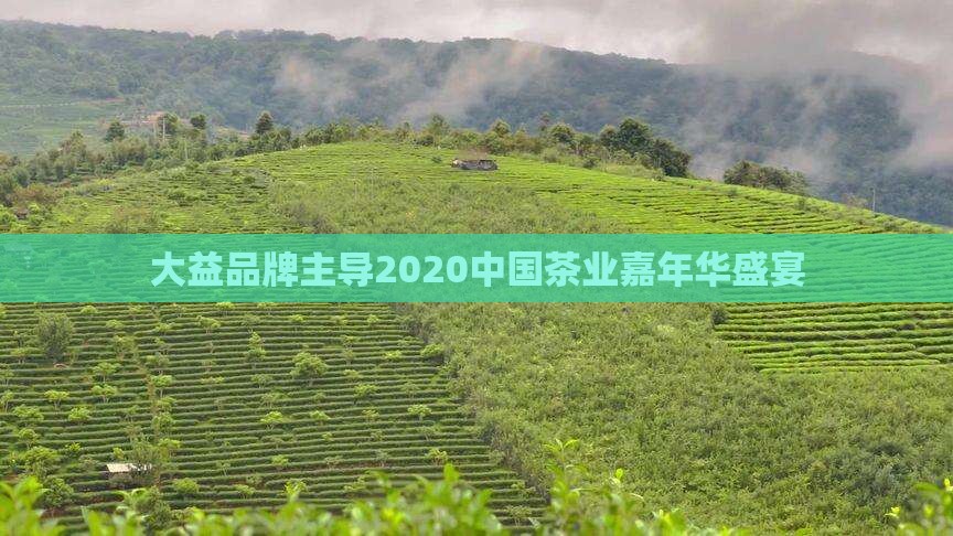 2020大益茶嘉年华