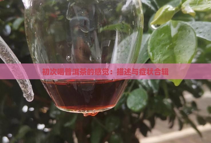 初次喝普洱茶的感觉