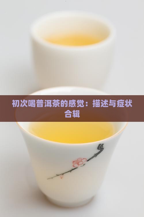 初次喝普洱茶的感觉