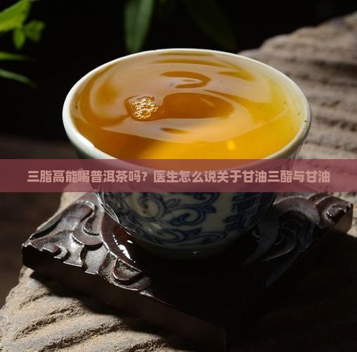 三脂高能不能喝普洱茶