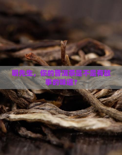 明先生的普洱茶怎么样