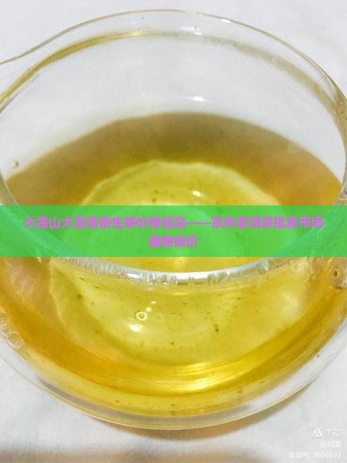 大雪山茶生茶价格