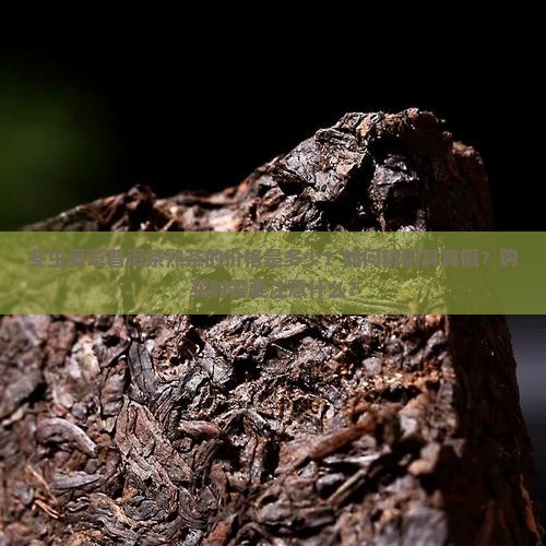 冬虫夏草普洱茶熟茶多少钱