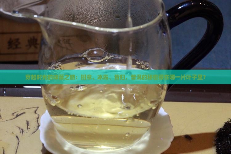 班章冰岛昔归普洱