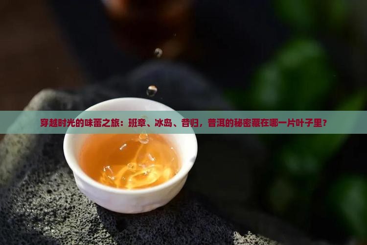 班章冰岛昔归普洱
