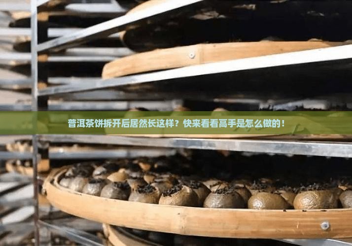 普洱茶饼拆成什么样