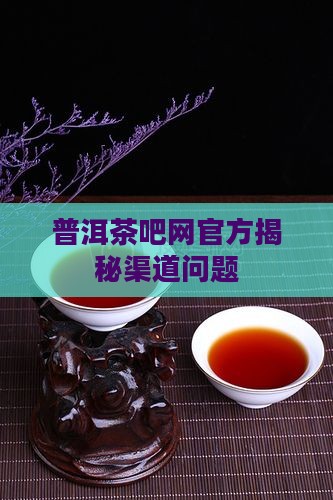 普洱茶吧网官方 普洱茶吧网官方