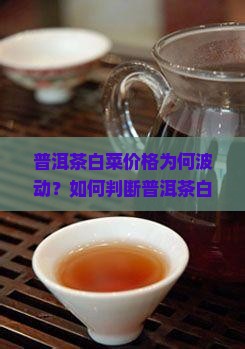 普洱茶白菜的价格