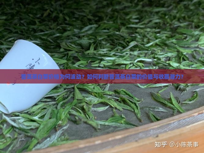 普洱茶白菜的价格