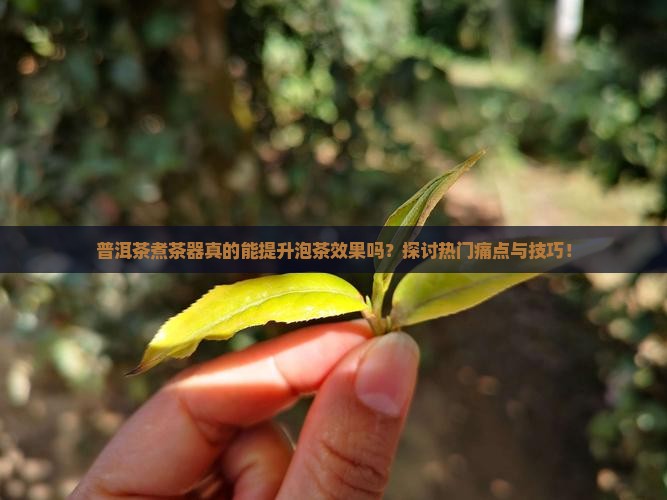 普洱茶煮茶器效果