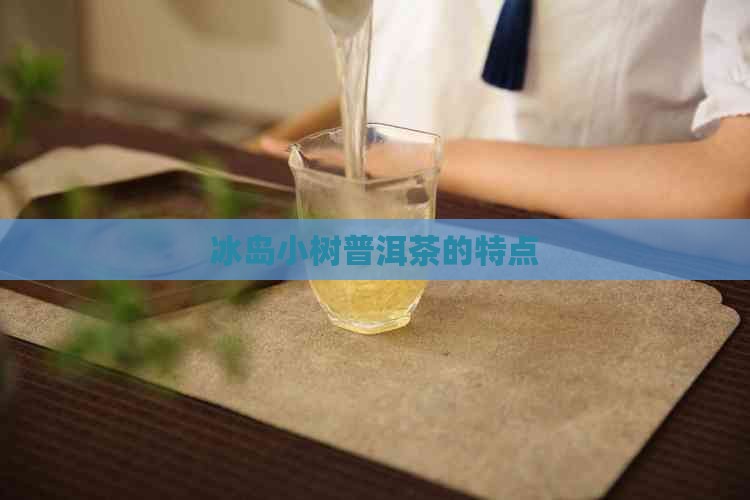 冰岛小树茶的特点