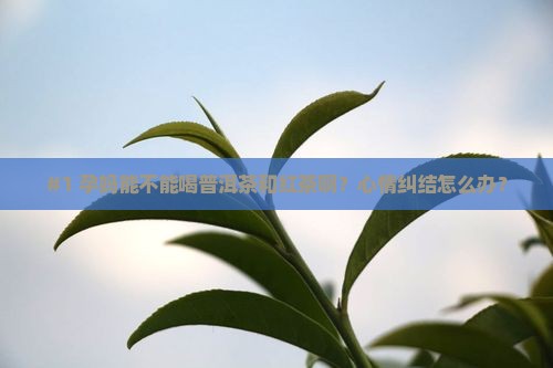孕妇可以喝普洱茶和红茶吗 孕妇可以喝普洱茶和红茶吗