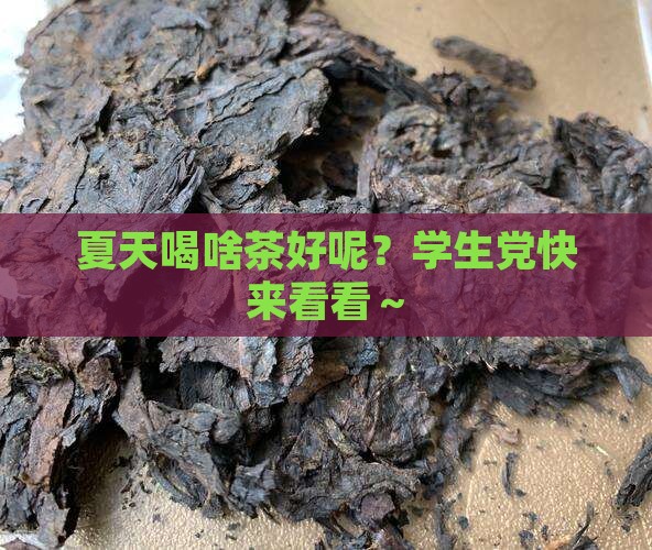 夏天喝什么茶好呢学生