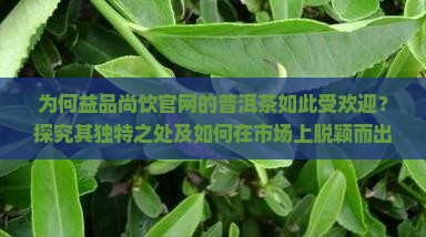 益品尚饮官网普洱茶
