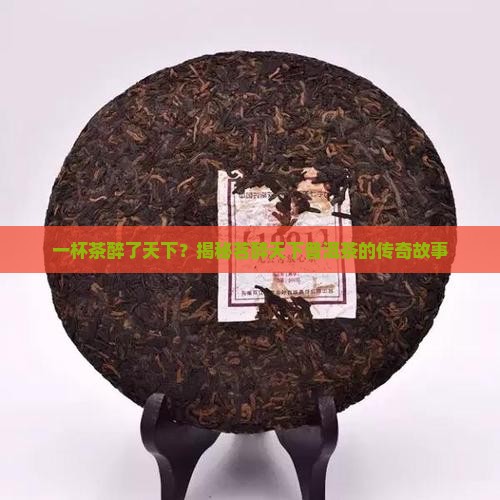 茗醉天下普洱茶