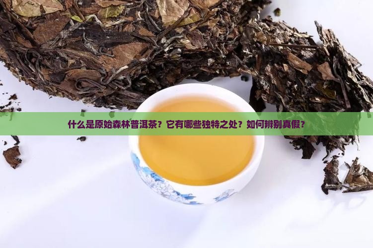 原始森林普洱茶