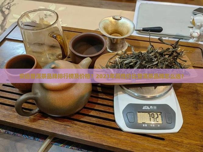 安远普洱茶品牌排行榜及价格