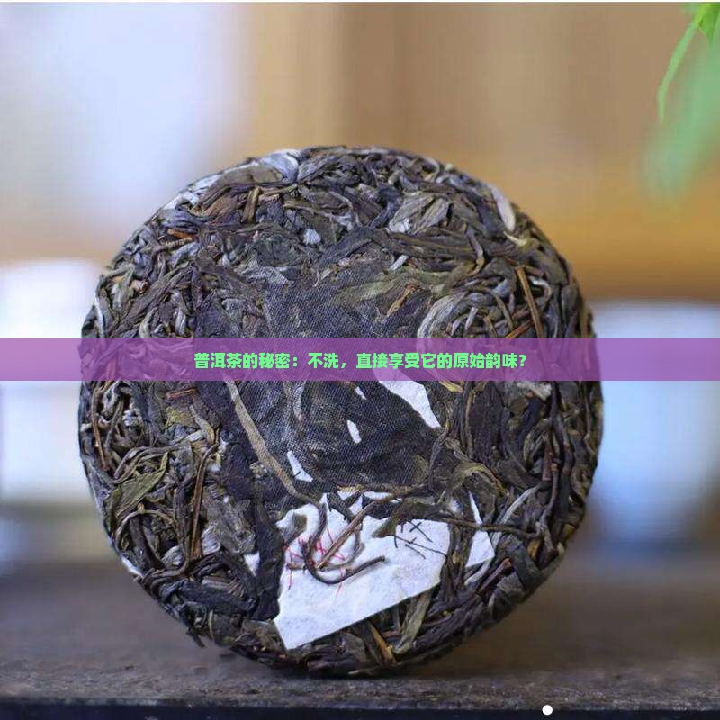 喝普洱茶不洗茶