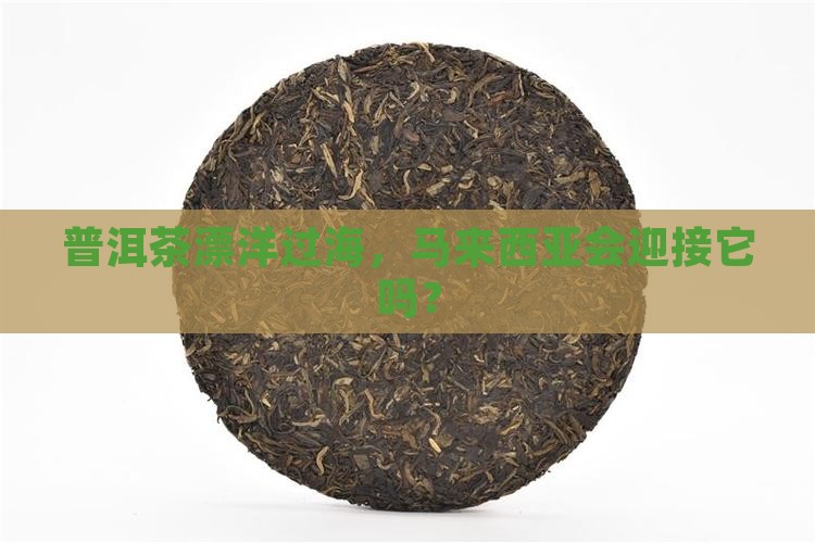 普洱茶可以入境马来西亚吗