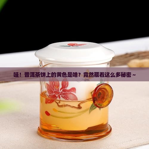 普洱茶饼上的黄色是什么
