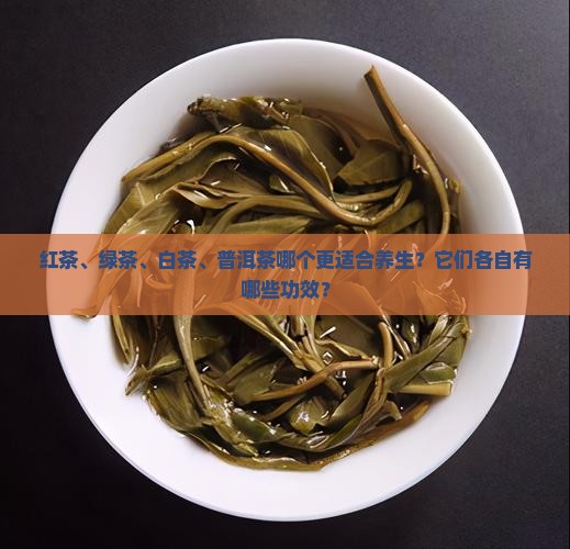 红茶绿茶白茶普洱茶养生