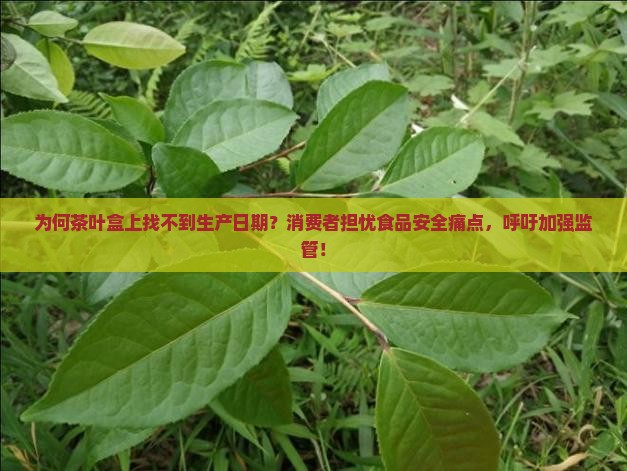 茶叶盒没有生产日期