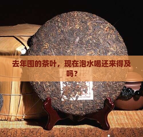 隔年的茶叶还能喝吗