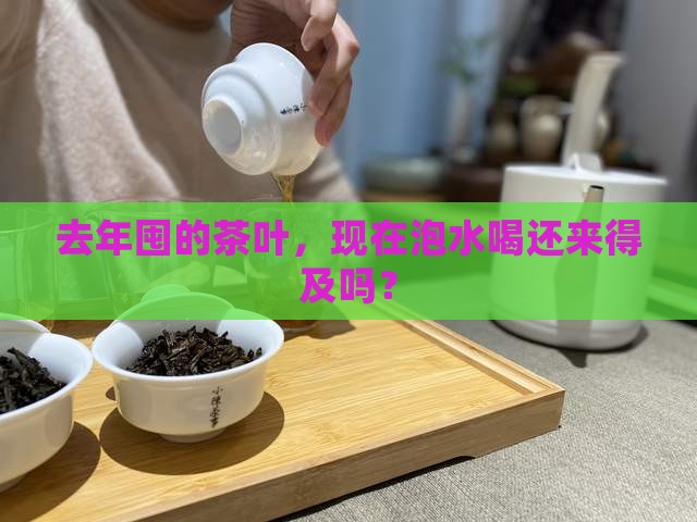 隔年的茶叶还能喝吗
