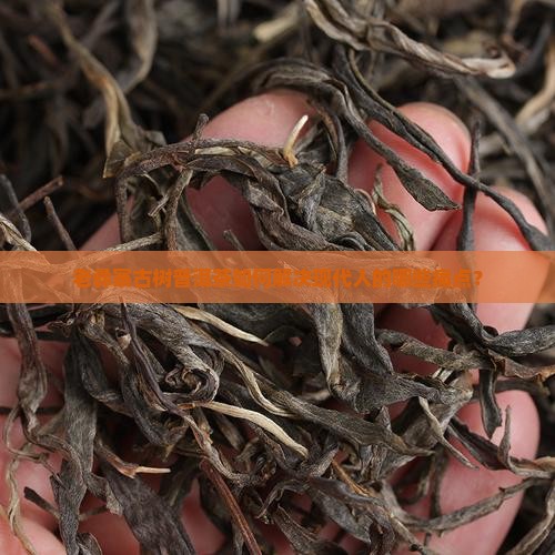 老彝寨古树普洱茶