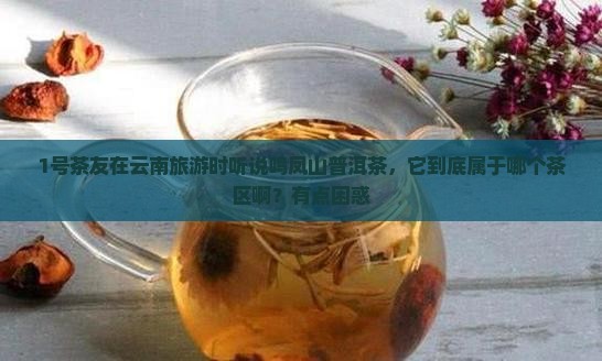 鸣凤山普洱茶属于什么茶区